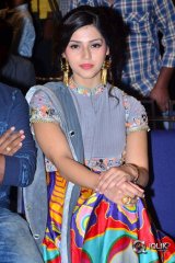 Raja The Great Movie Success Meet